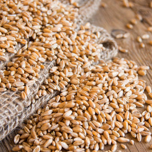 Organic whole wheat grain