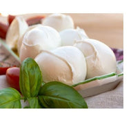 Mozzarella | Santa Lucia | 340g - ItalianMart