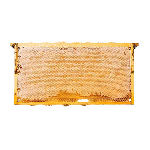 Comb Honey with Wood Frame