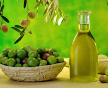 canola vs extra virgin olive oil