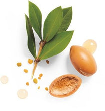 Argan Oil Soap| Felce Azzurra | Amber | 300ml - ItalianMart